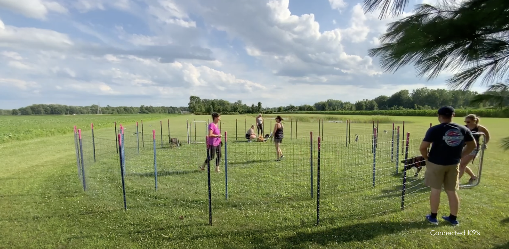 Certified dog trainer leading Connected K9 Circle Training session outdoors with participants and dogs.
